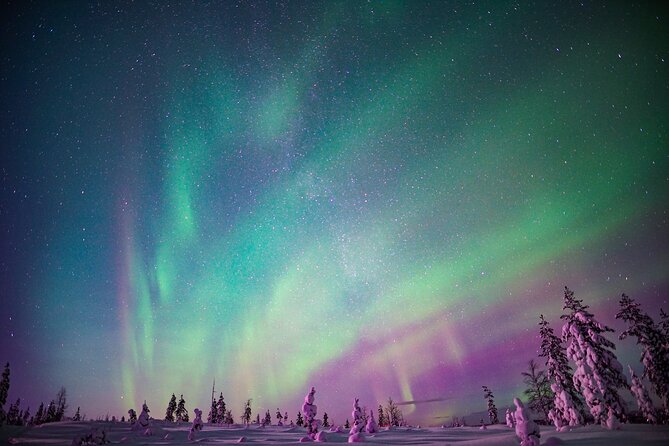 Ski Trekking under the Northern Lights - Learning the difference between backcountry and trail skiing