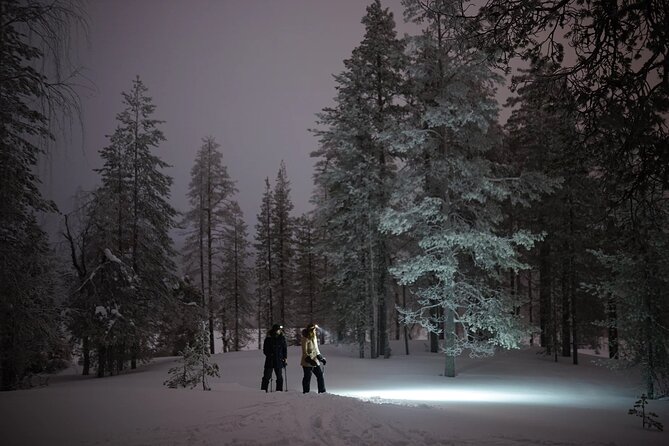 Ski Trekking under the Northern Lights - Ninety to 120 minutes among the trees