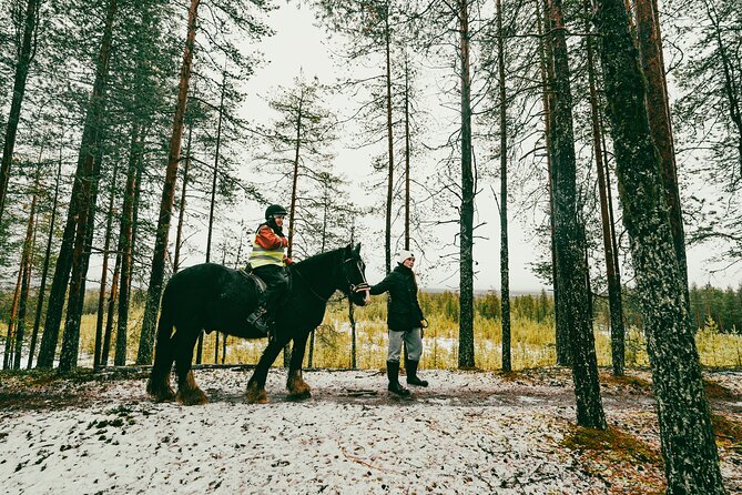 Small-Group Arctic Circle Horse Riding from Rovaniemi - Timing can shift, so keep your day flexible