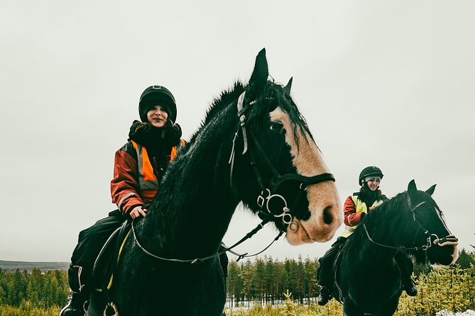 Small-Group Arctic Circle Horse Riding from Rovaniemi - Rider limits and family suitability