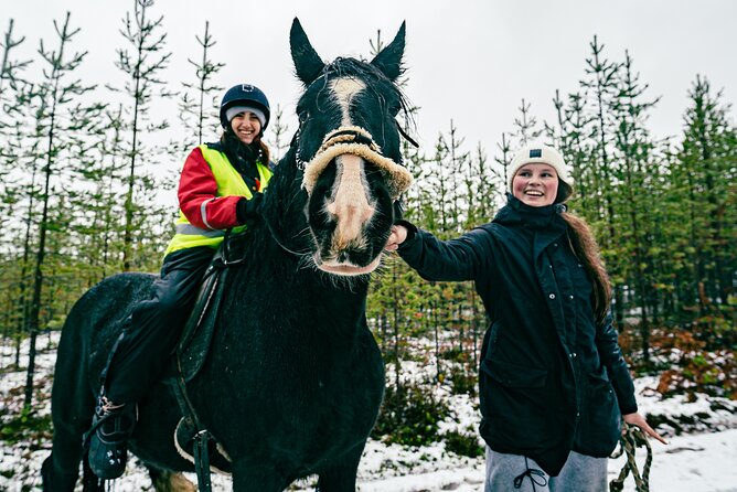 Small-Group Arctic Circle Horse Riding from Rovaniemi - What to bring and how to plan the outing