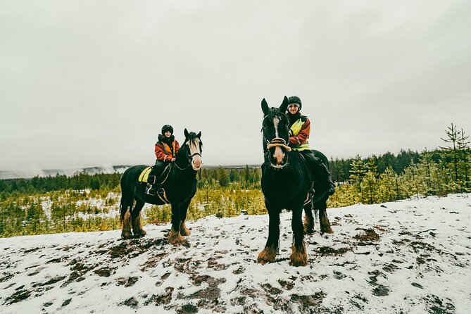 Small-Group Arctic Circle Horse Riding from Rovaniemi - Cancellation terms before you commit