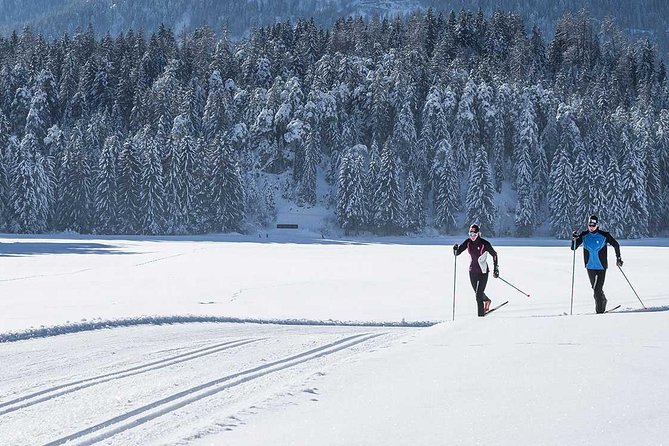 Small-Group Lapland Cross Country Ski - Getting ready for the snow