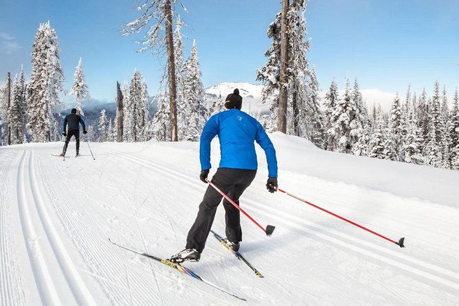 Small-Group Lapland Cross Country Ski - What the three-and-a-half-hour outing includes
