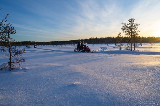 Small-Group Snowmobile Experience in Rovaniemi - Who will enjoy this ride most