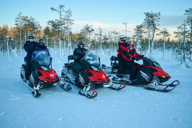 Small-Group Snowmobile Experience in Rovaniemi - Practical details that can make the outing smoother
