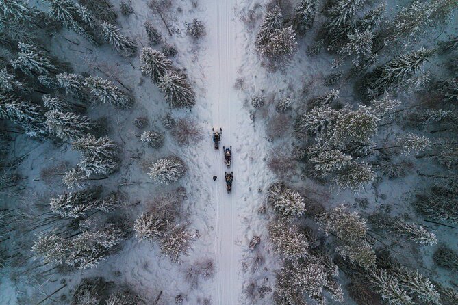 Small-Group Snowmobile Experience in Rovaniemi - My call: book it if snowmobiling is on your Lapland list