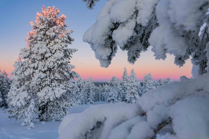 Small-Group Snowshoeing Adventure In Lapland - Learning to walk on snowshoes