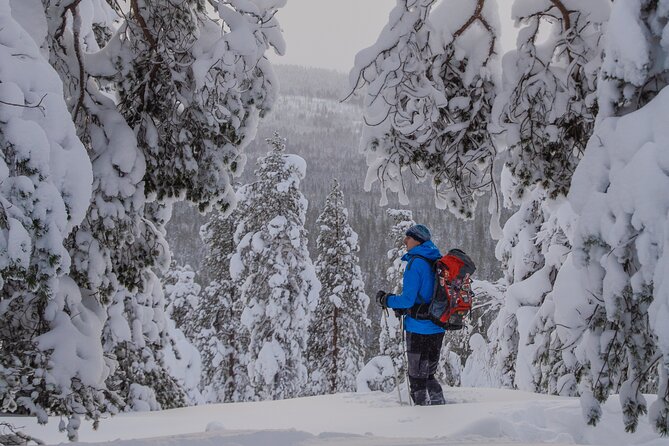 Small-Group Snowshoeing Adventure In Lapland - Northern lights: a possible bonus, not the main product