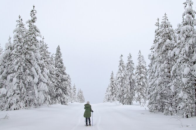 Small-Group Snowshoeing Adventure In Lapland - What to wear and what to bring