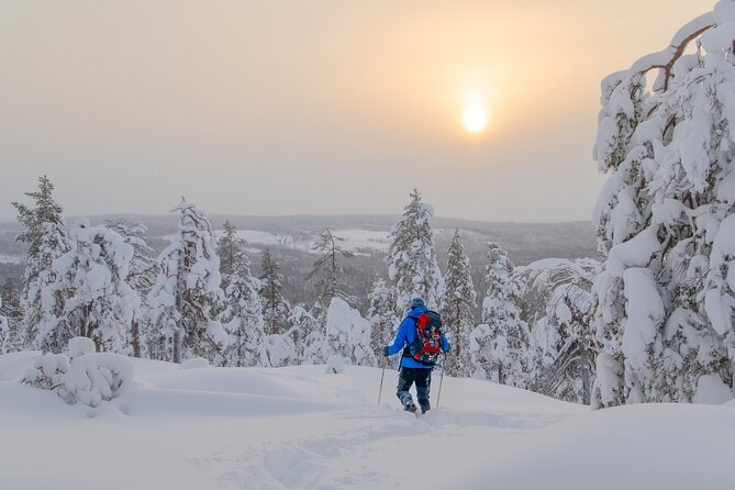 Small-Group Snowshoeing Adventure In Lapland - What the guide adds to the forest