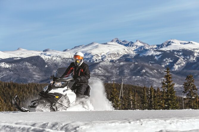 Snowmobile & Animals Day Tour - A fast route through Lapland’s winter highlights