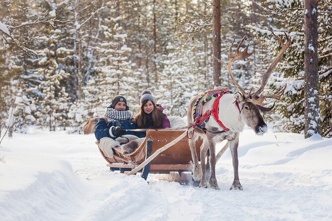 Snowmobile & Animals Day Tour - Booking, cancellation, and weather notes
