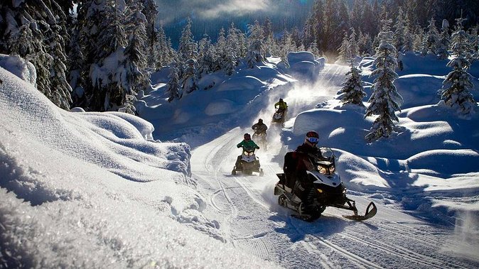 Snowmobile & Animals Day Tour - Husky sledding brings the first burst of speed