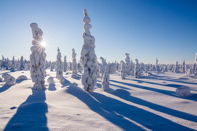 Snowmobile Driving - Morning start - Snowy forests and quiet winter travel