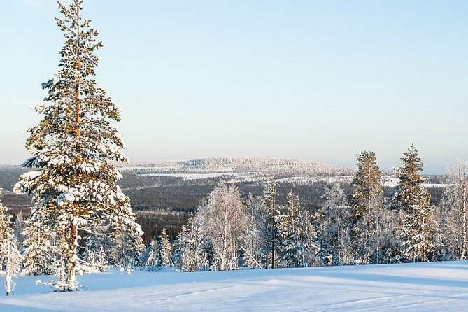 Snowmobile Safari in the Forest - Why Kätkävaara makes this a different snowmobile day