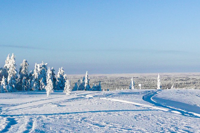 Snowmobile Safari in the Forest - What the $264.72 price includes