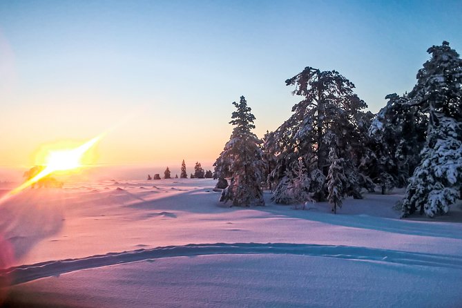 Snowmobile Safari in the Nature - Warm drinks, snacks, and a fire-side pause