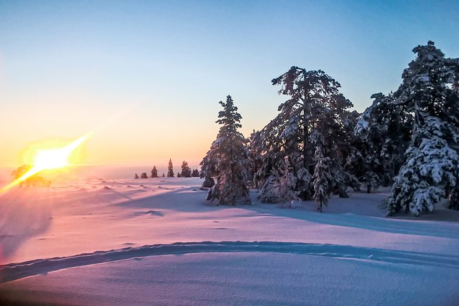 Snowmobile Safari in the Nature - Morning start - Through forests, frozen rivers, and swamps