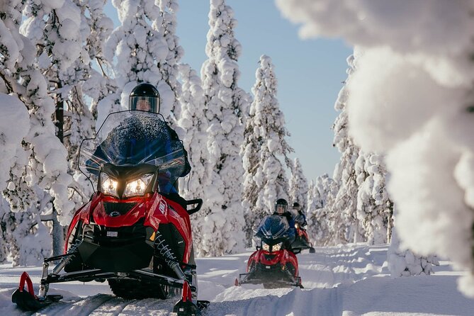 Snowmobile Safari into the Arctic Circle Forest - Key points before you book
