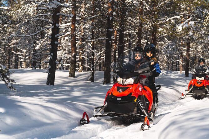 Snowmobile Safari into the Arctic Circle Forest - Sharing a snowmobile, or riding in the sleigh