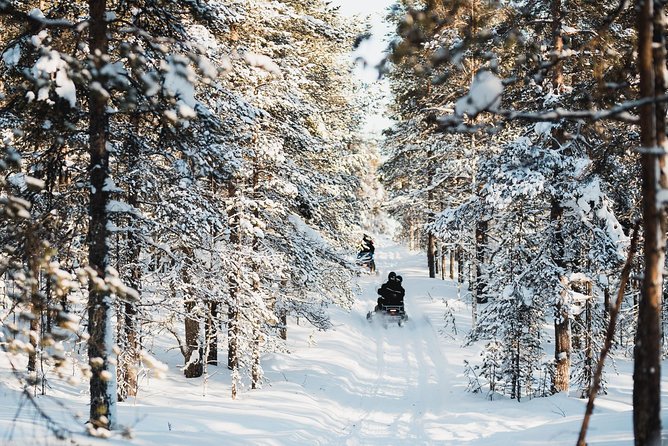 Snowmobile Safari into the Arctic Circle Forest - What the two-hour ride is really like