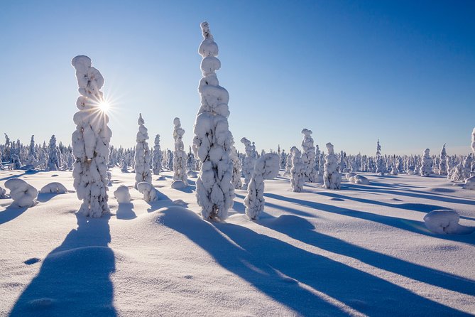 Snowmobile Safari on the Tundra - Guides make the biggest difference