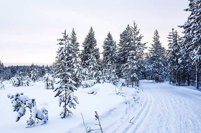 Snowmobile Safari on the Tundra - What $179.01 actually buys you
