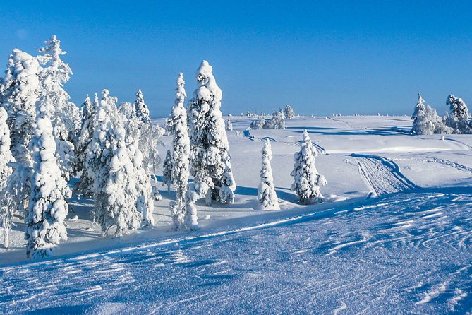 Snowmobile Safari on the Tundra - The briefing and first practice runs