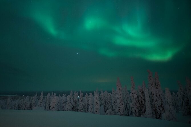 Snowmobile Safari to Search for the Northern Lights - What the $203.04 price includes