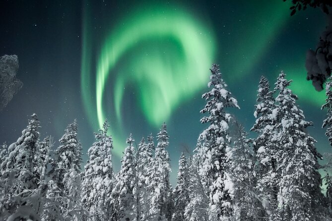 Snowmobile Safari to Search for the Northern Lights - Who will enjoy this safari most