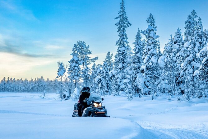 Snowmobile Tour with Small Group in Remote Wilderness 3 Hours - Key points to know before you book