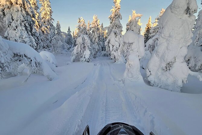 Snowmobile Tour with Small Group in Remote Wilderness 3 Hours - Riding for about 2.5 hours through Lapland