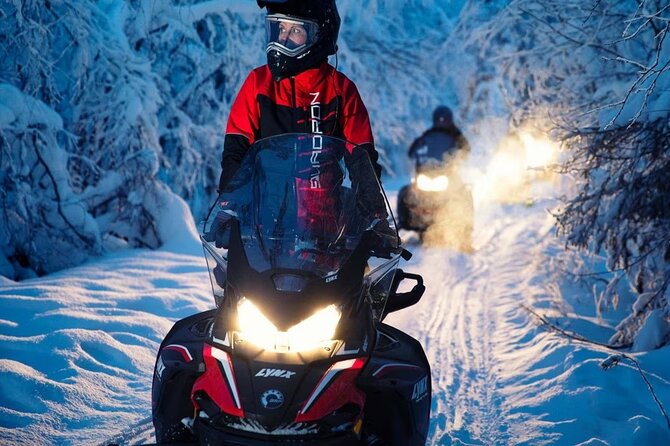 Snowmobile Tour with Small Group in Remote Wilderness 3 Hours - What the small-group format adds