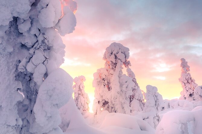 Snowmobile Tours in Rovaniemi Lapland - Key points at a glance
