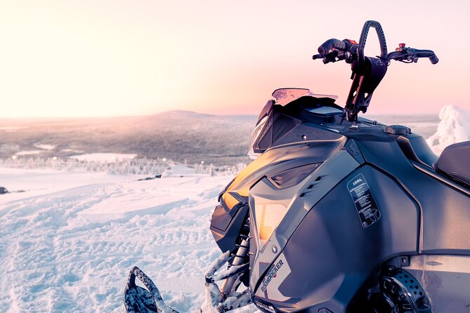 Snowmobile Tours in Rovaniemi Lapland - Twin driving and the licence rule
