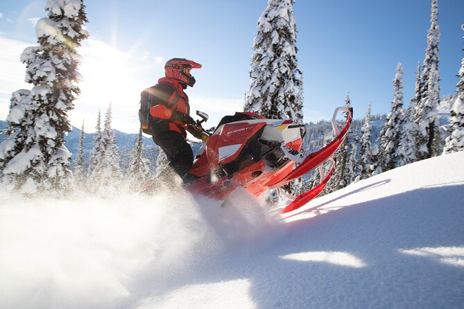Snowmobiles and Huskies - Key points at a glance