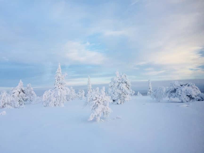 Snowshoe experience with traditional beverages in Lapland - A snowy forest or an open frozen lake