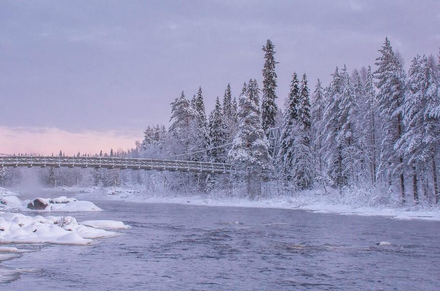 Snowshoe experience with traditional beverages in Lapland - A balanced look at the $91 price