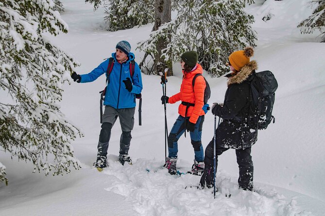 Snowshoeing Adventure with Ice-Fishing, Fire and Survival - Reaching the frozen lake for ice-fishing