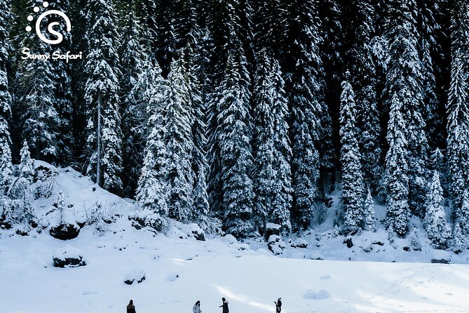 Snowshoeing in Lapland Wilderness - Why families may find this easier than expected