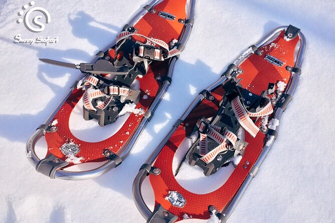 Snowshoeing in Lapland Wilderness - Who should choose this snowshoe outing?