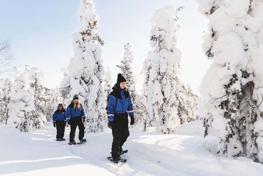 Snowshoeing in the Arctic Wilderness - Frozen rapids, a lake, and a slower view of Lapland