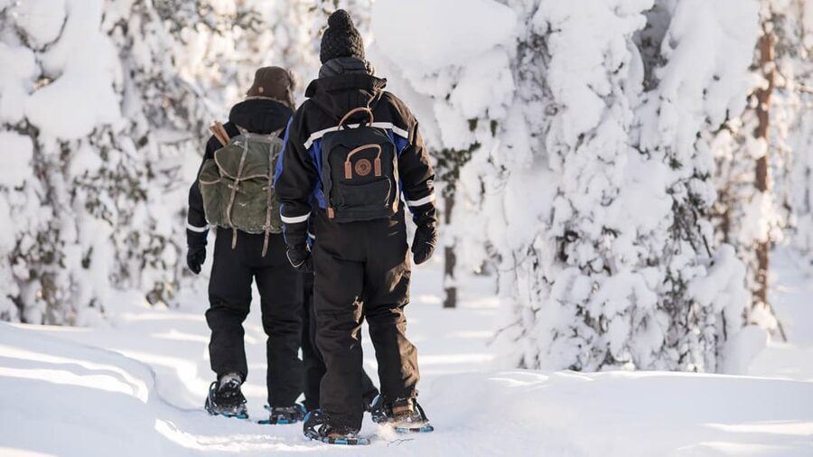 Snowshoeing in the Arctic Wilderness - Should you book Snowshoeing in the Arctic Wilderness?