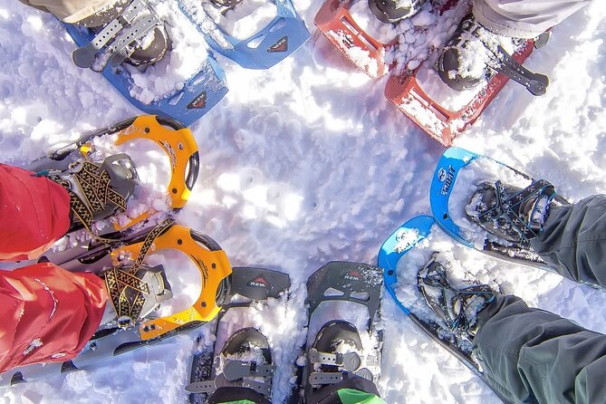 Snowshoeing tour with Wild Lunch - Key points to know before booking