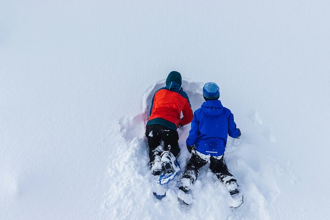 Snowshoeing tour with Wild Lunch - Leaving Rovaniemi for the snowy forest