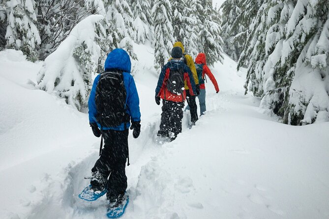 Snowshoeing tour with Wild Lunch - Snow-covered trees and a frozen lake