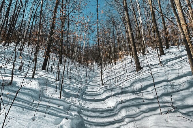 Snowshoeing tour with Wild Lunch - The value of the $95.53 price