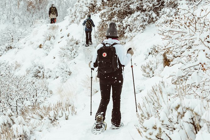 Snowshoeing tour with Wild Lunch - Clothing, comfort, and what to bring