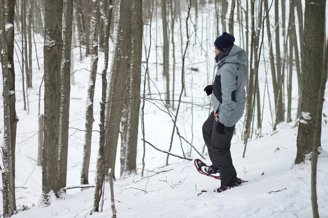 Snowshoeing tour with Wild Lunch - Who will enjoy this Rovaniemi tour most
